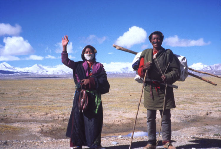 Horseriding skills parade.