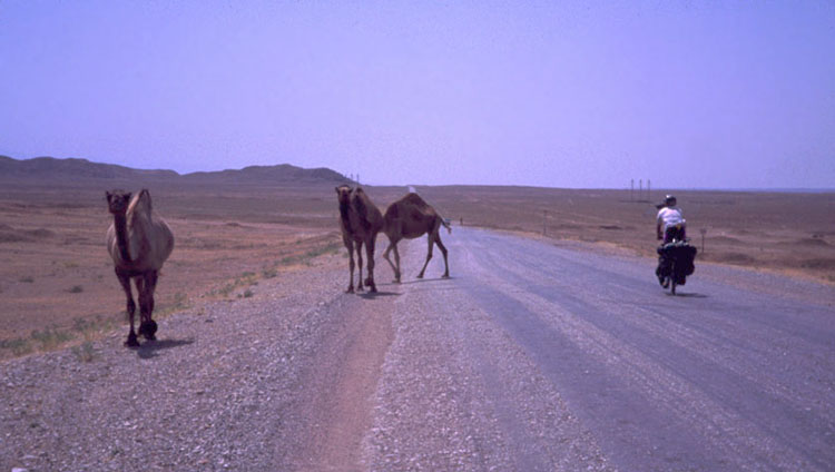 This entire country is basically a desert.