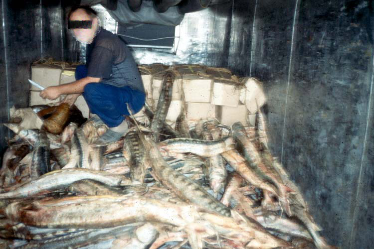 Fish smuggler we met in the middle of the desert.